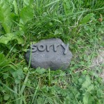 sorry02web