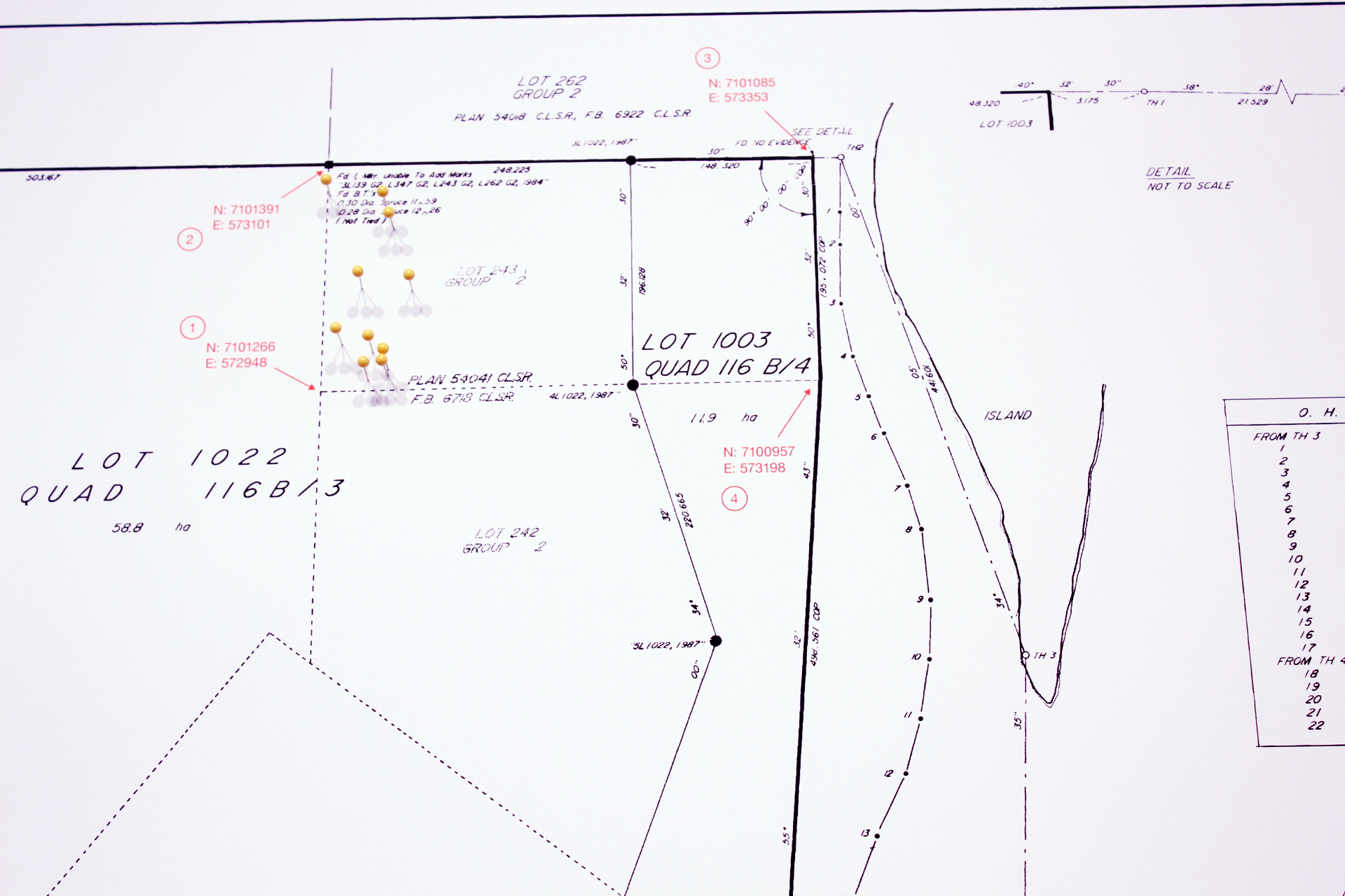 Plotting the lots on today's survey plans (detail)