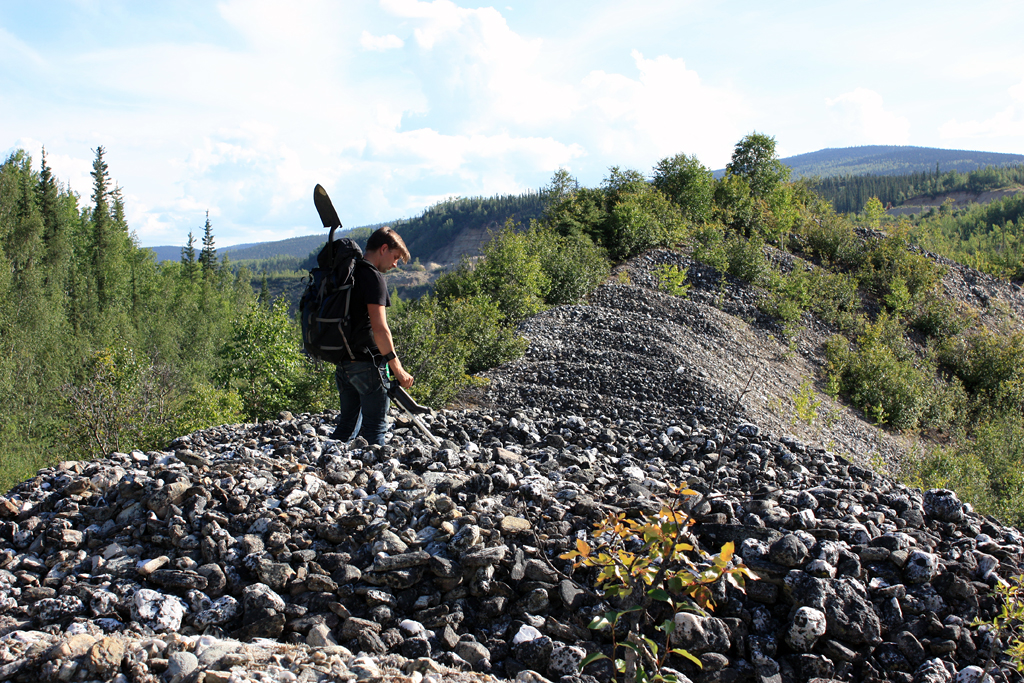 Colin Lyons walking the dredge tailings, looking for artifacts, July 2015